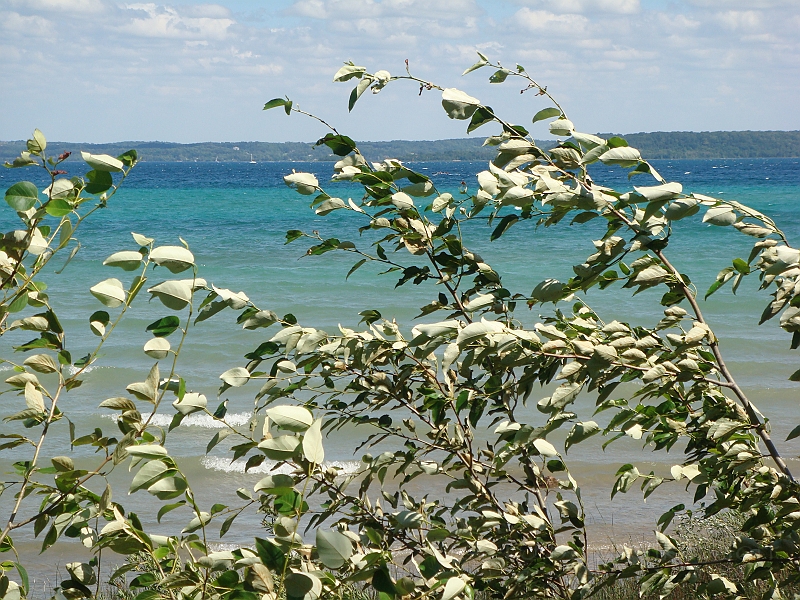 Western Michigan [2010] 563.JPG - Scenes from our trip to Western Michigan. Some places along the way were Ludington, Sleep Bear Dunes, and Traverse City.